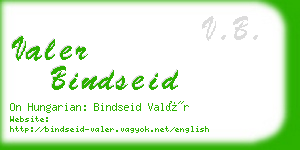 valer bindseid business card